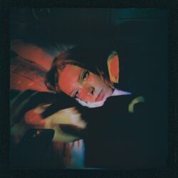 Cover of Fake Plastic Trees