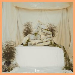Cover of Stacking Stones