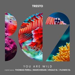 Cover of You Are Wild