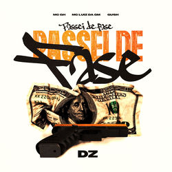 Cover of Passei de Fase by undefined