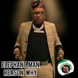 Cover of Reason Why