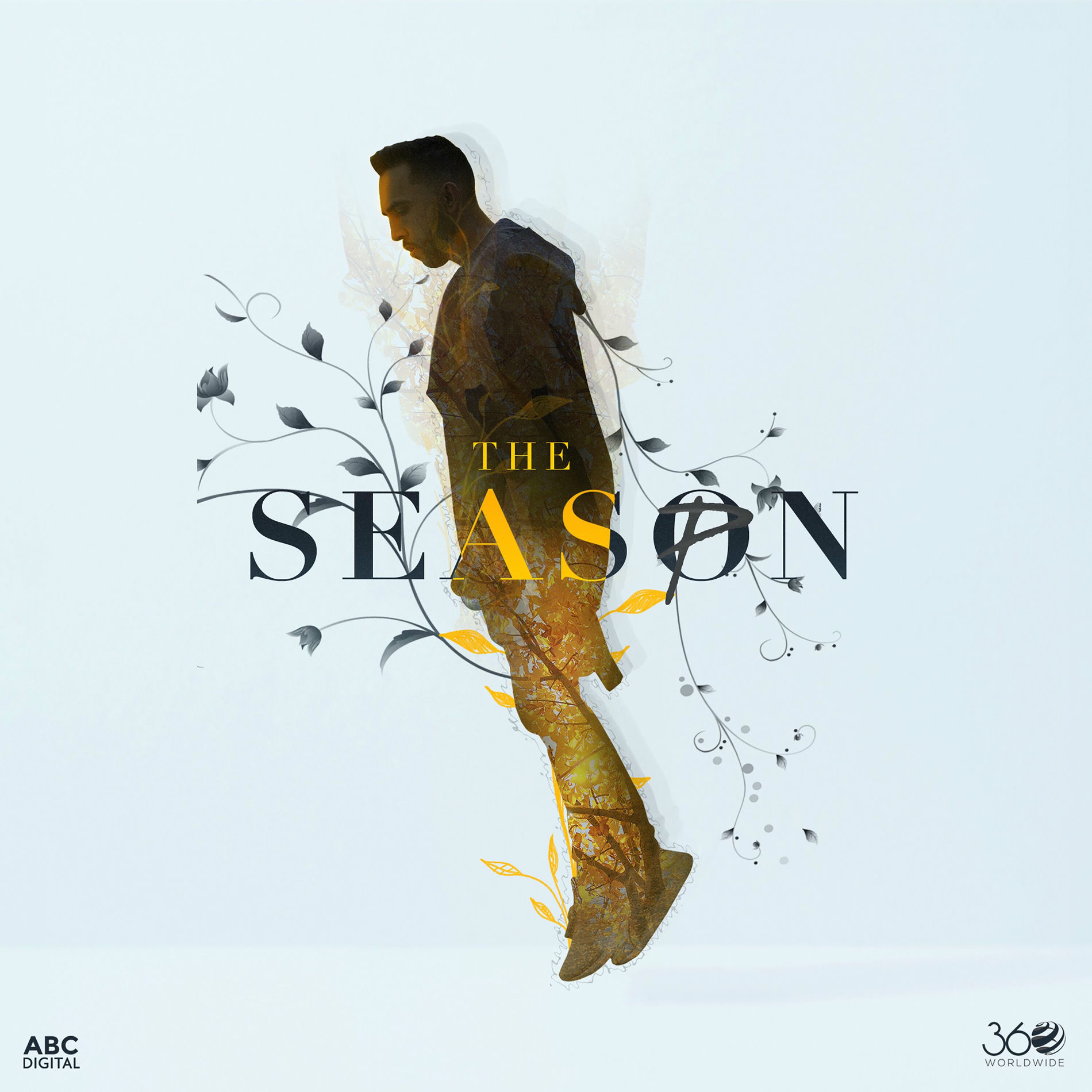 Album cover of Haani