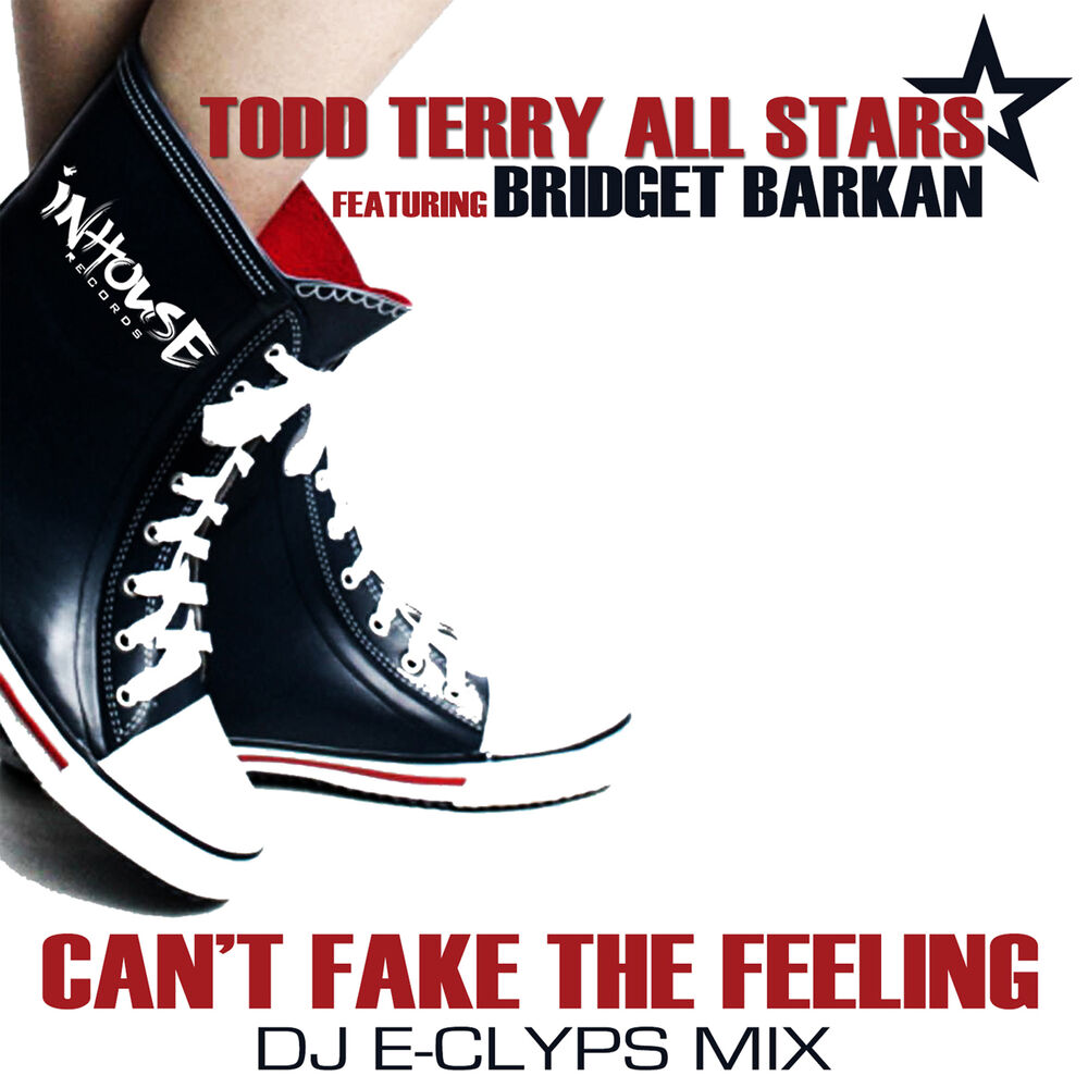 Picture of Can't Fake the Feeling (Dj E-Clyps MIX)