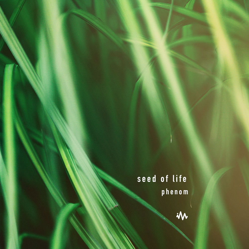 Seed of Life artwork