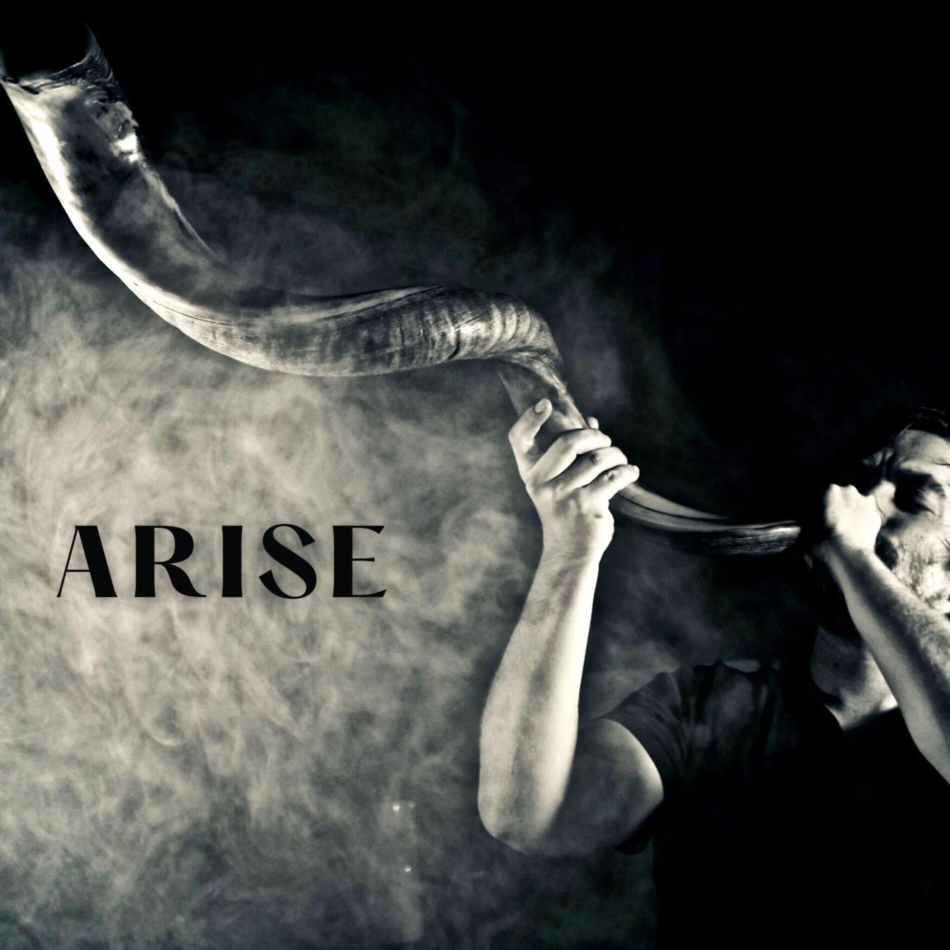 Album cover of Arise