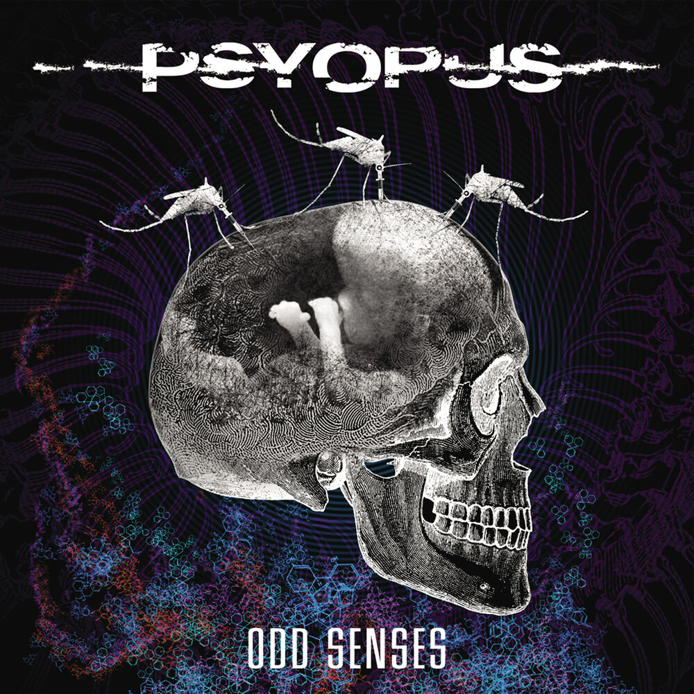 Picture of Odd Senses