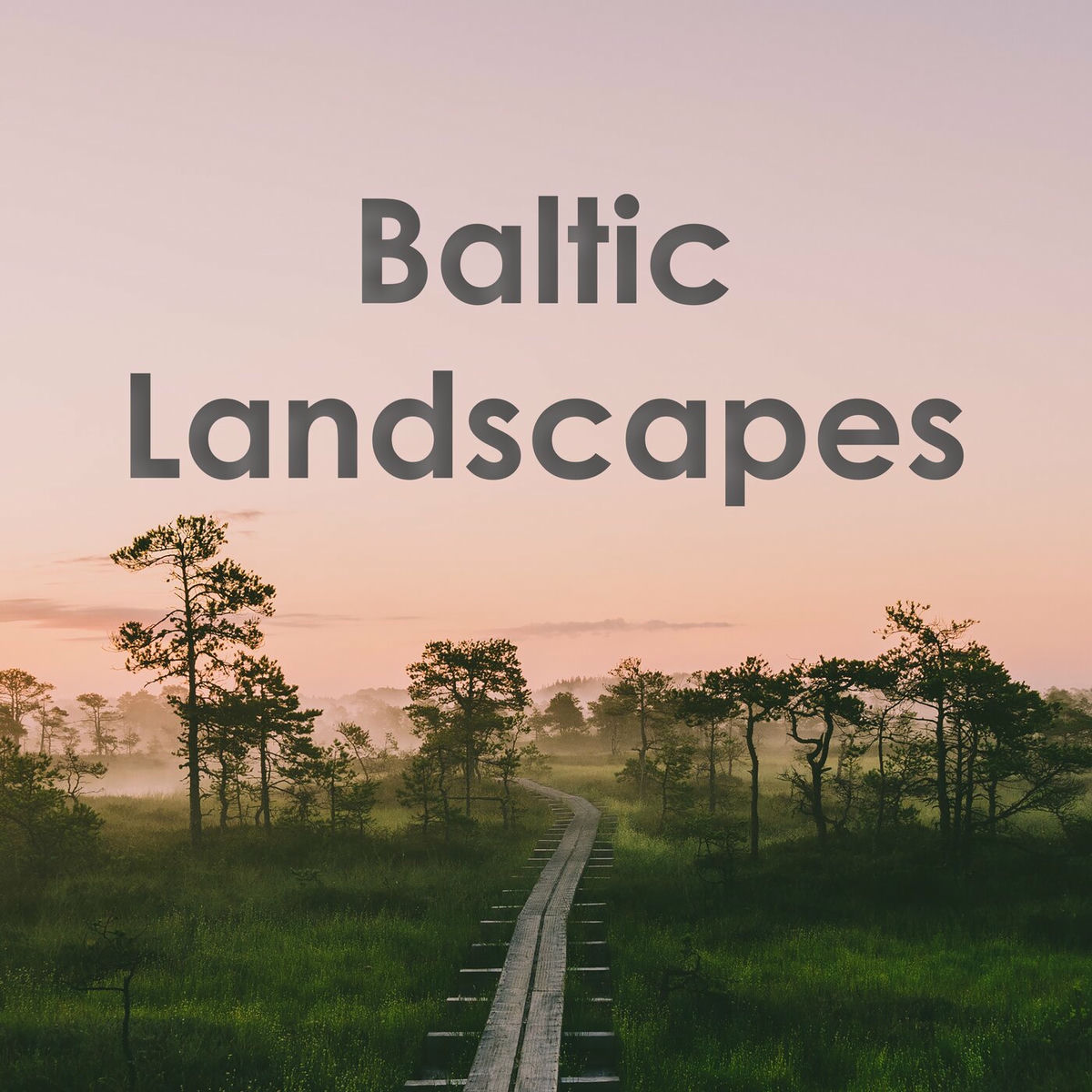 Album cover of Baltic Landscapes: Pärt, Tormis, Kreek, Ešenvalds, Miškinis