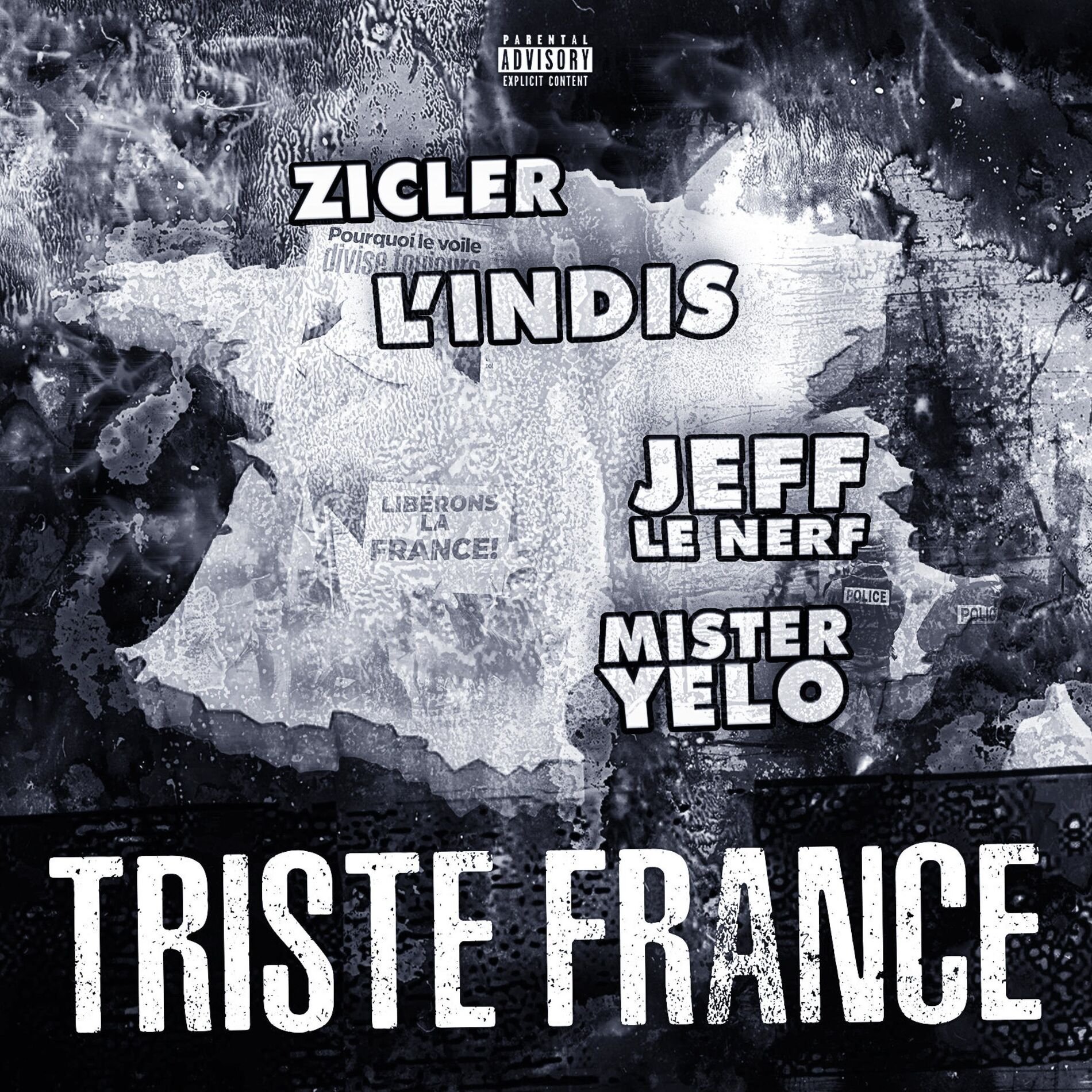 Album cover of Triste France (feat. Jeff Le Nerf, Zicler & L'Indis)