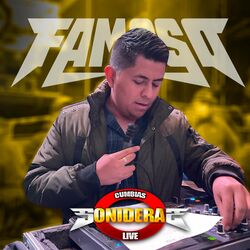 Cover of Sonido Famoso, Vol. 1