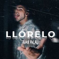 Cover of Llórelo