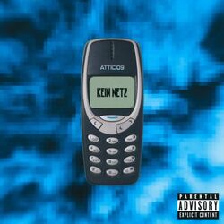 Cover of Kein Netz