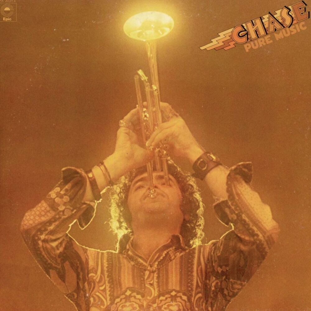 Picture of Pure Music