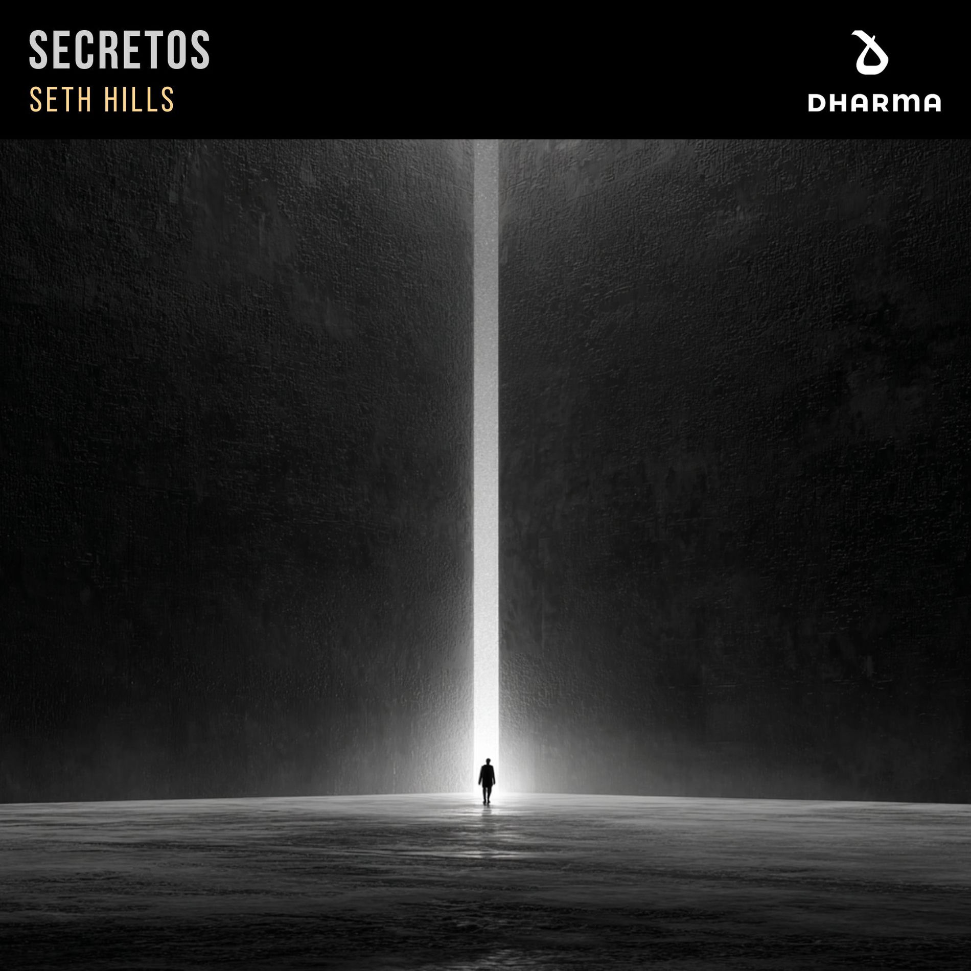 Album cover of Secretos
