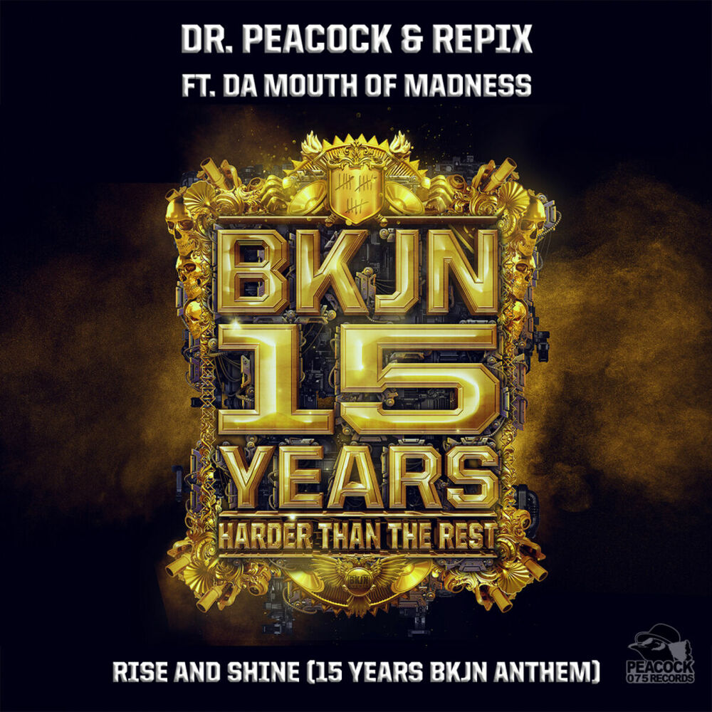 Picture of Rise & Shine (15 Years BKJN Anthem)