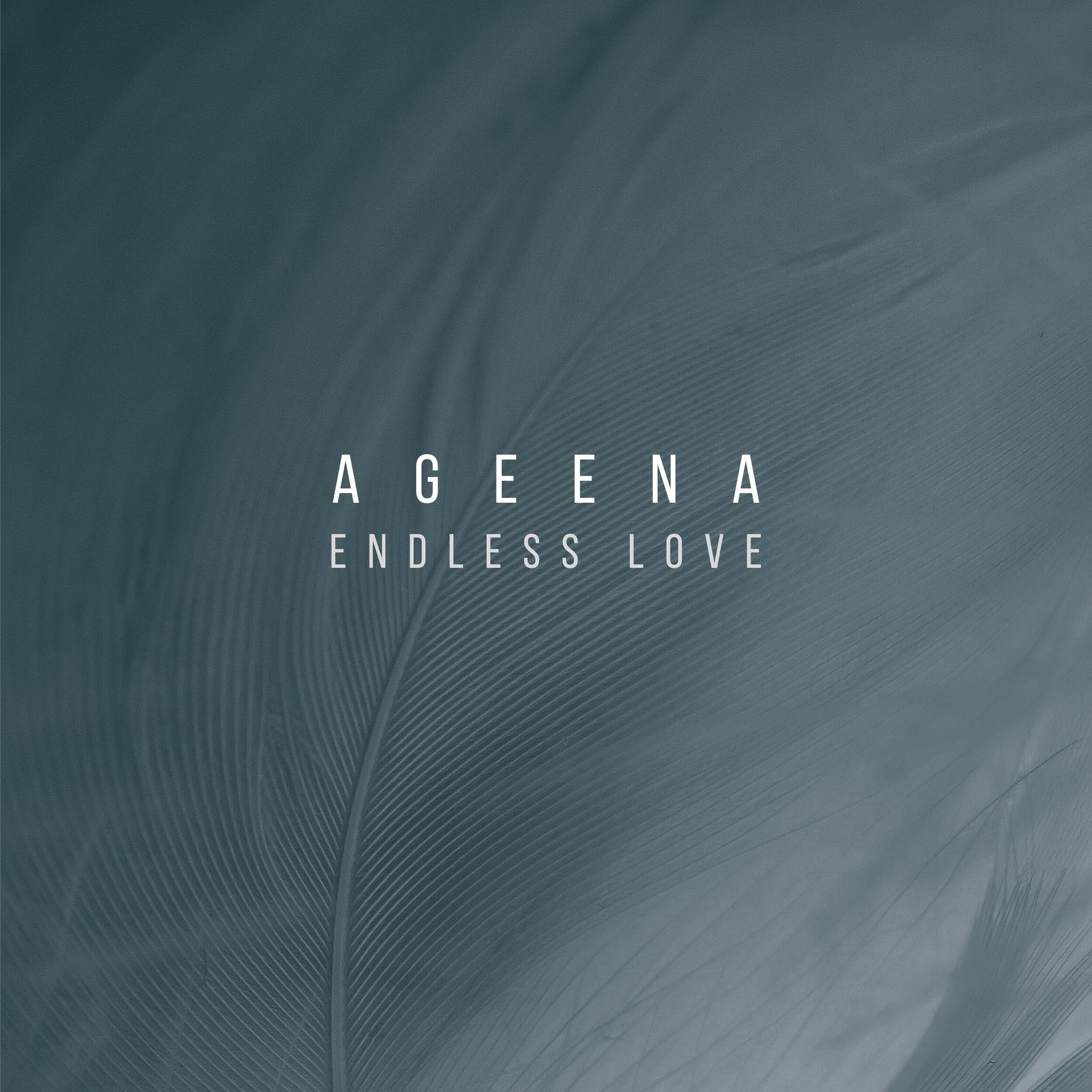 Album cover of Endless Love