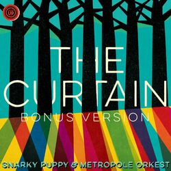 Cover of The Curtain - Live From Dordrecht, Het Energiehuis / 2014 (Bonus Version)
