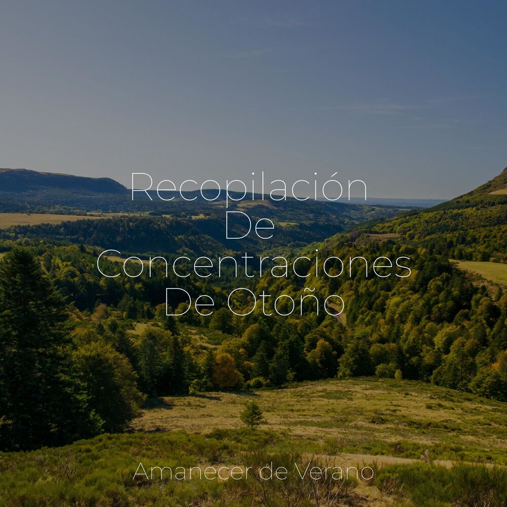 Picture of Recopilación De Concentraciones De Otoño