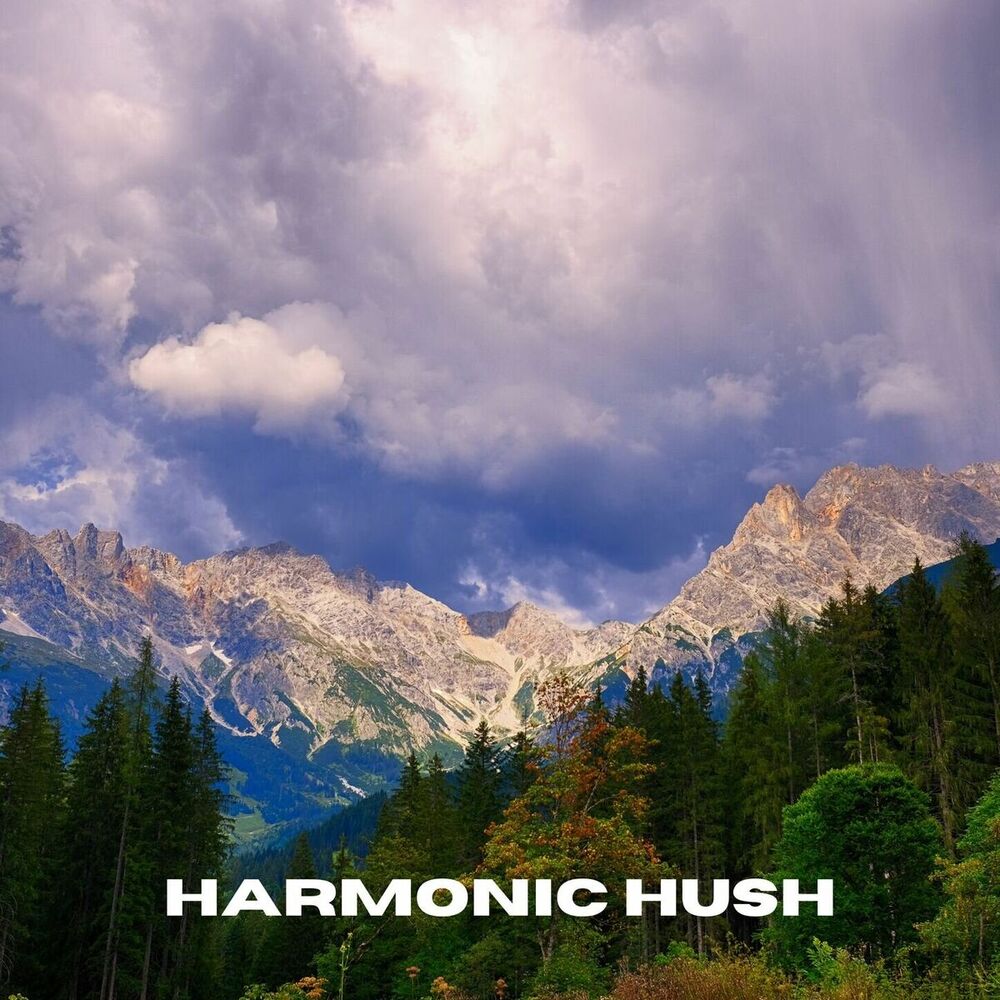 Picture of Harmonic Hush