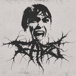 music cover