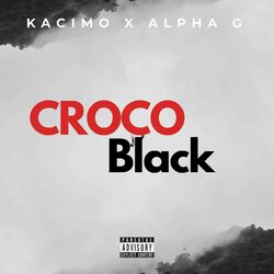 Croco black