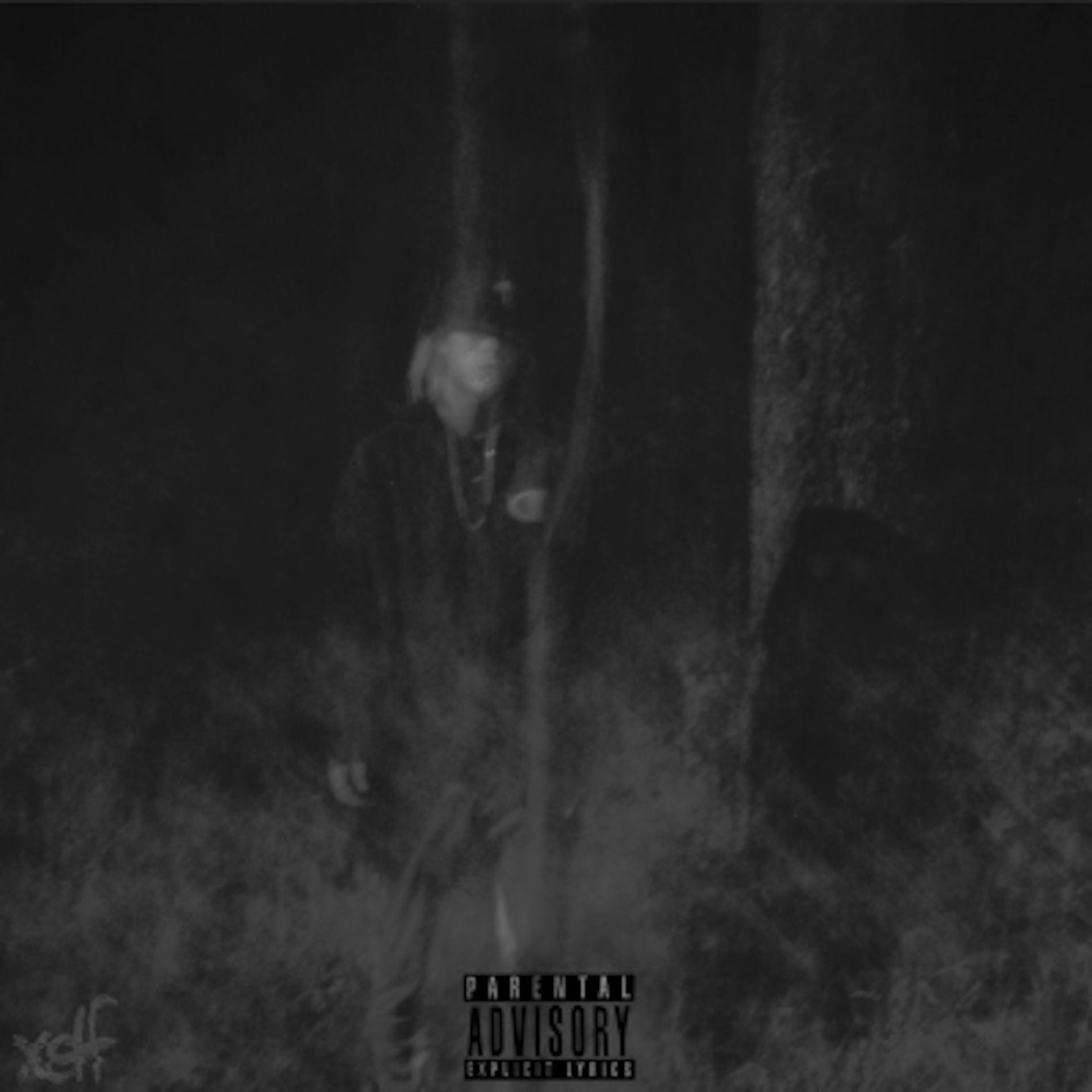Album cover of End of the Lane