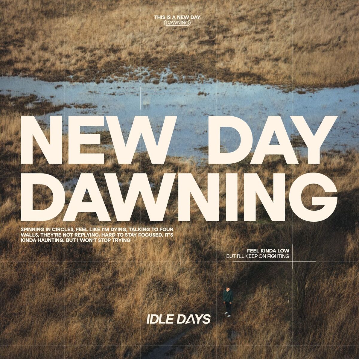 Album cover of New Day Dawning