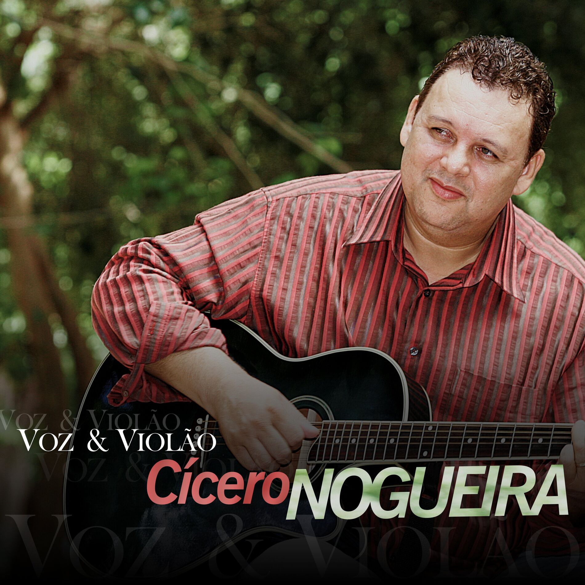 Album cover of Voz e Violão