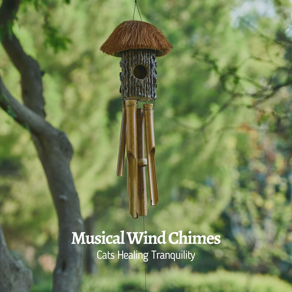 Picture of Musical Wind Chimes: Cats Healing Tranquility