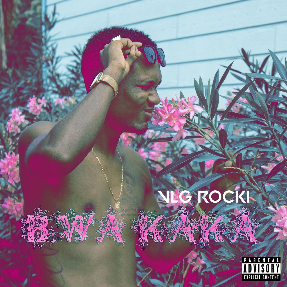 Album cover of Bwa Kaka