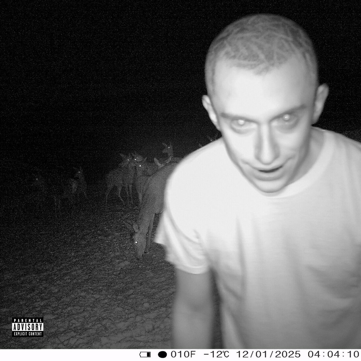 Album cover of Kto Sa Boji Nesmie Do Lesa
