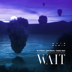 Cover of Wait (Ayin Remix)