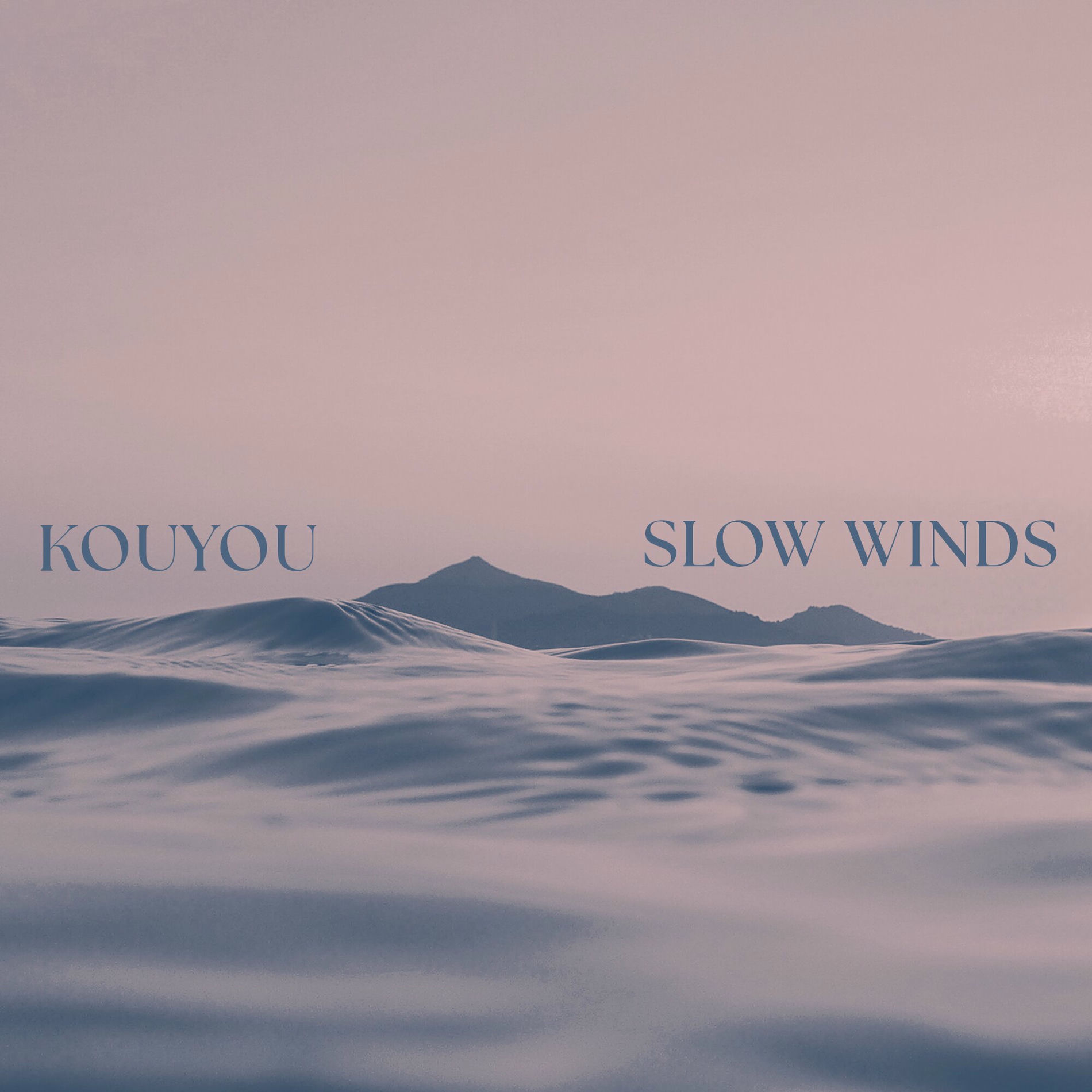 Album cover of Slow Winds