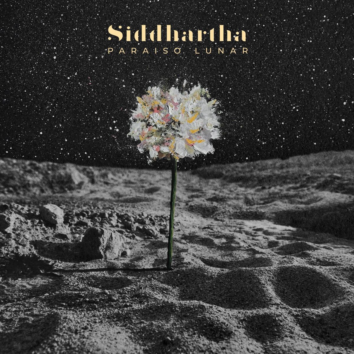 Album cover of Paraíso Lunar