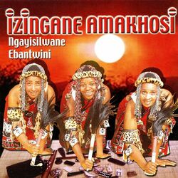 Cover of Ngayisilwane Ebantwini