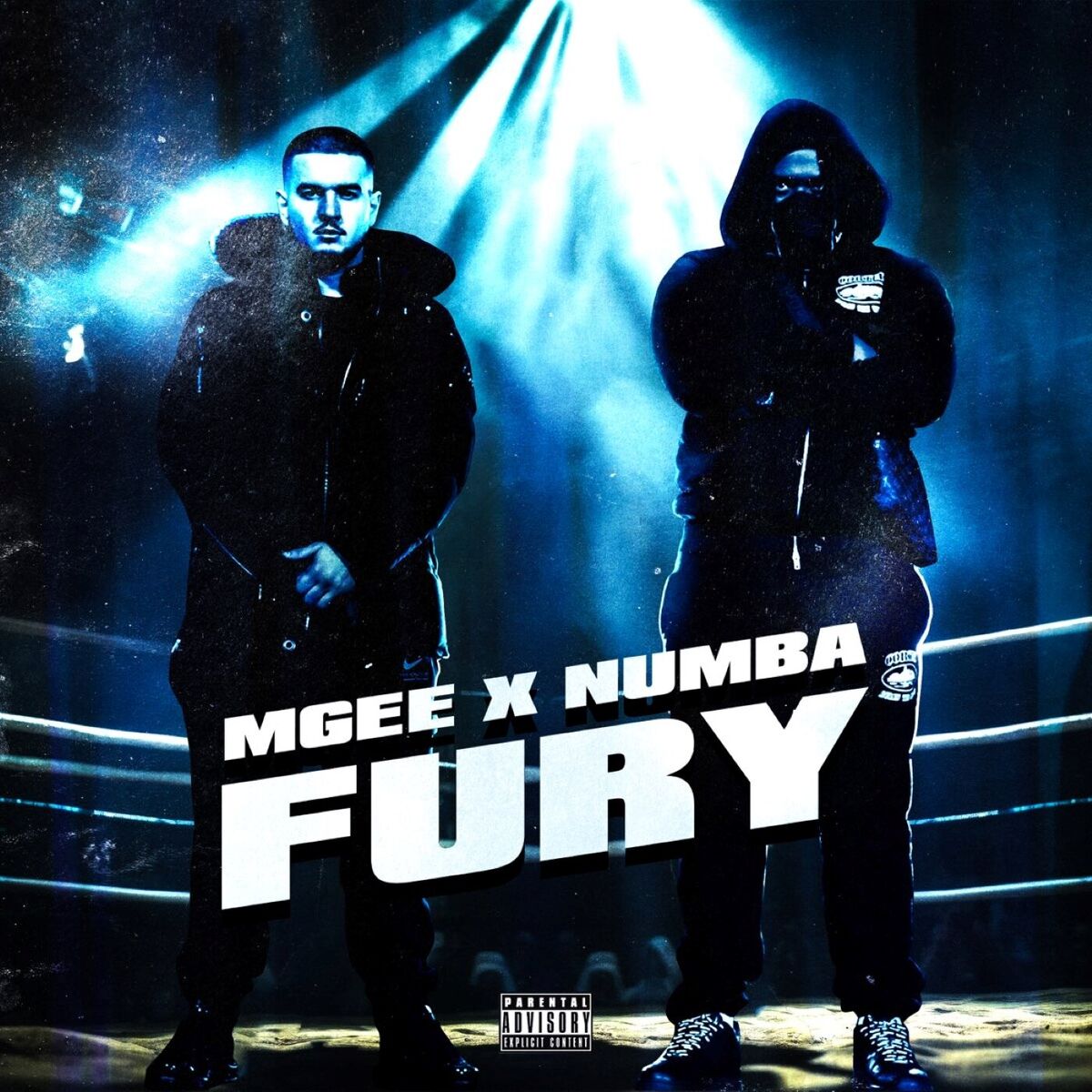 Album cover of FURY