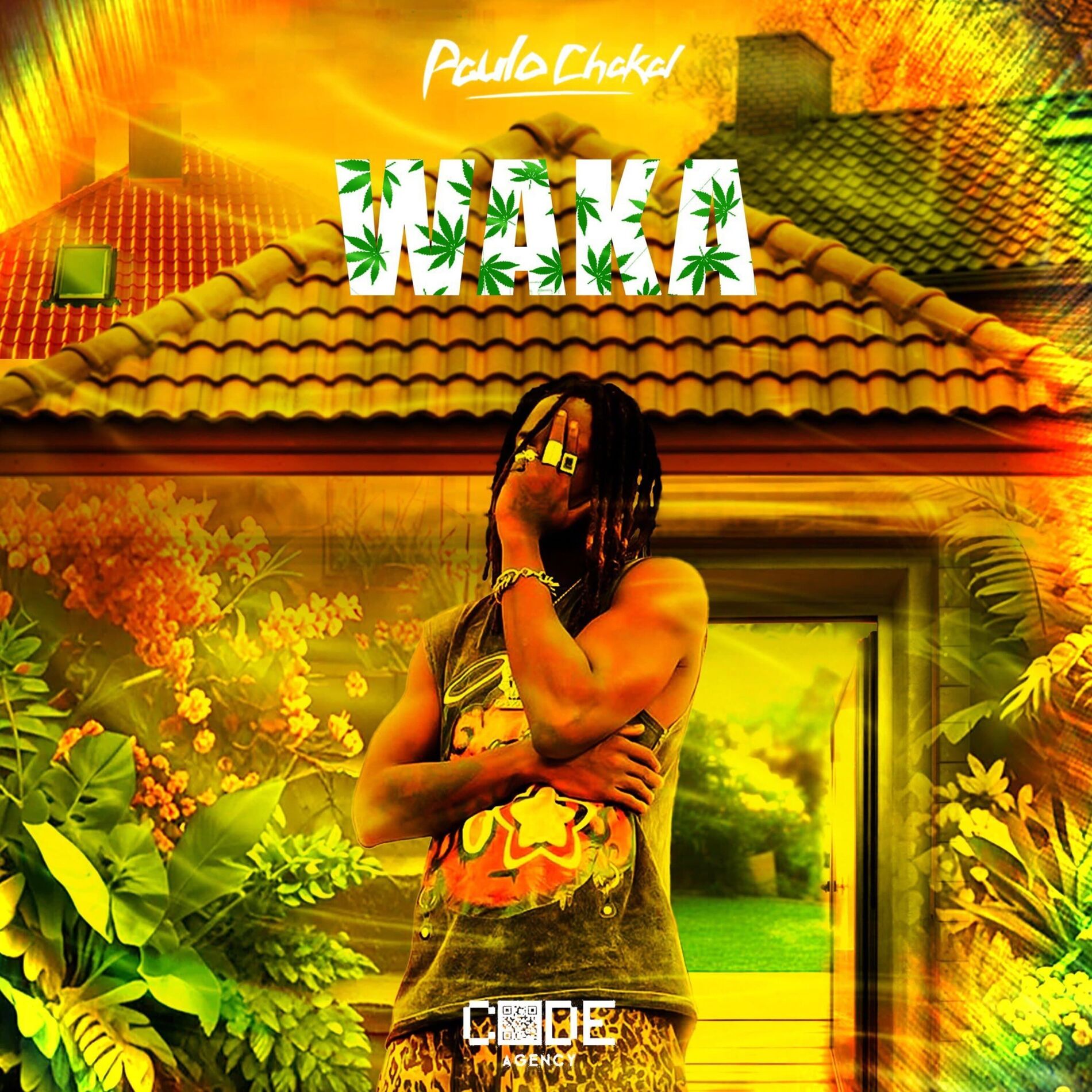 Album cover of Waka