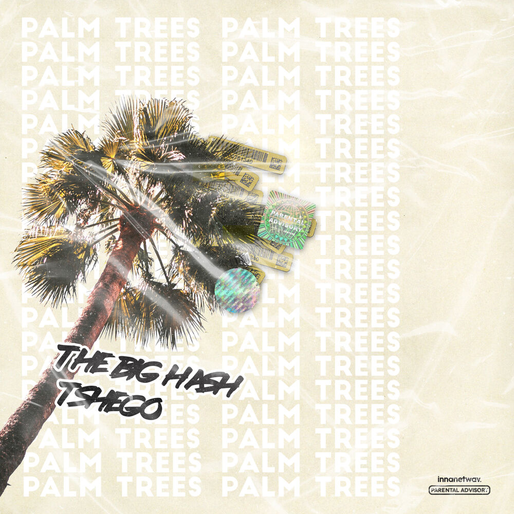 Picture of Palm Trees