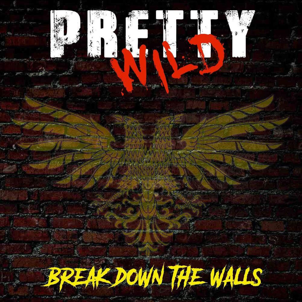 Picture of Break Down the Walls