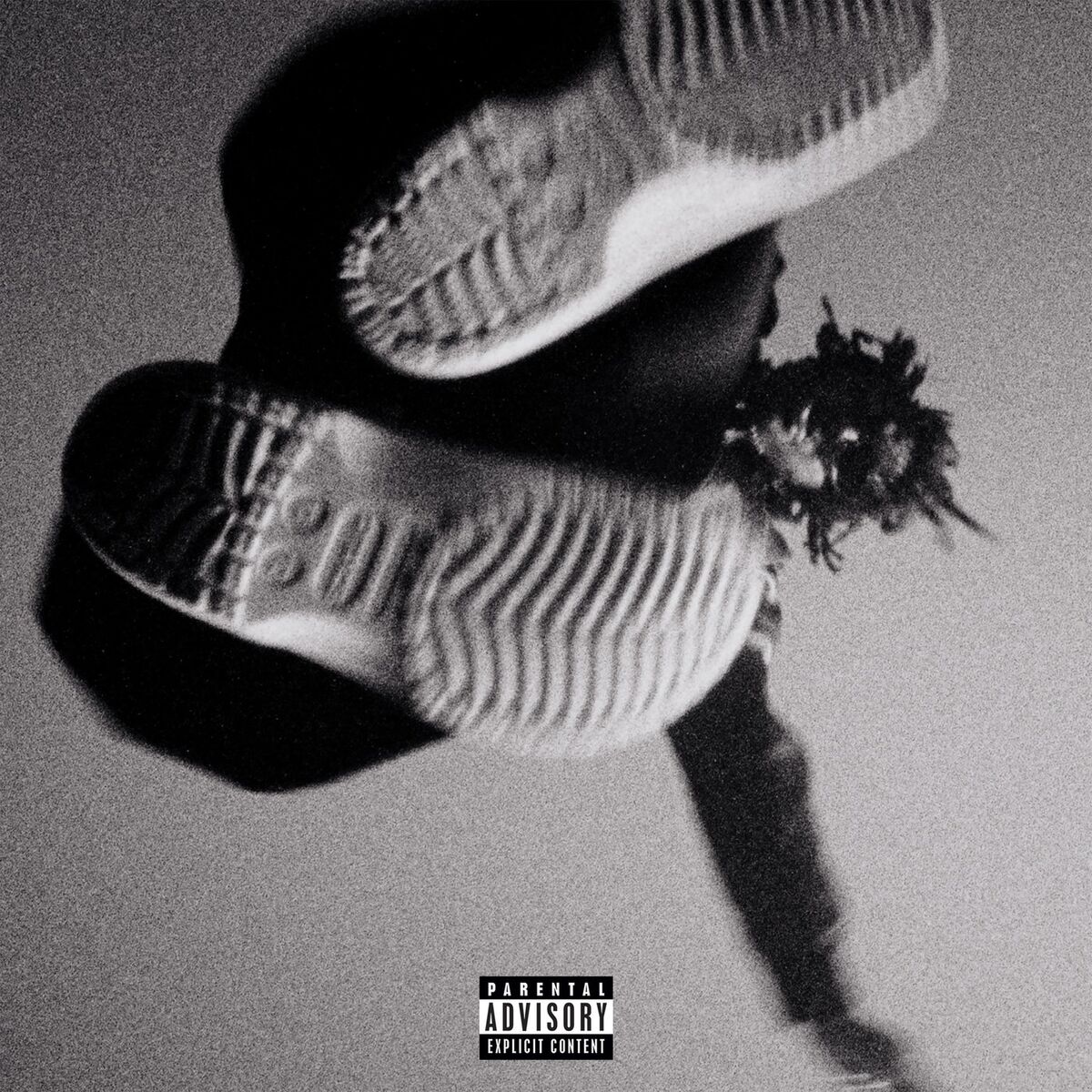 Album cover of WHITE CROCS
