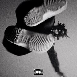 Cover of WHITE CROCS