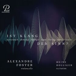 Cover of Ist Klang der Sinn? Contemporary works for cello solo