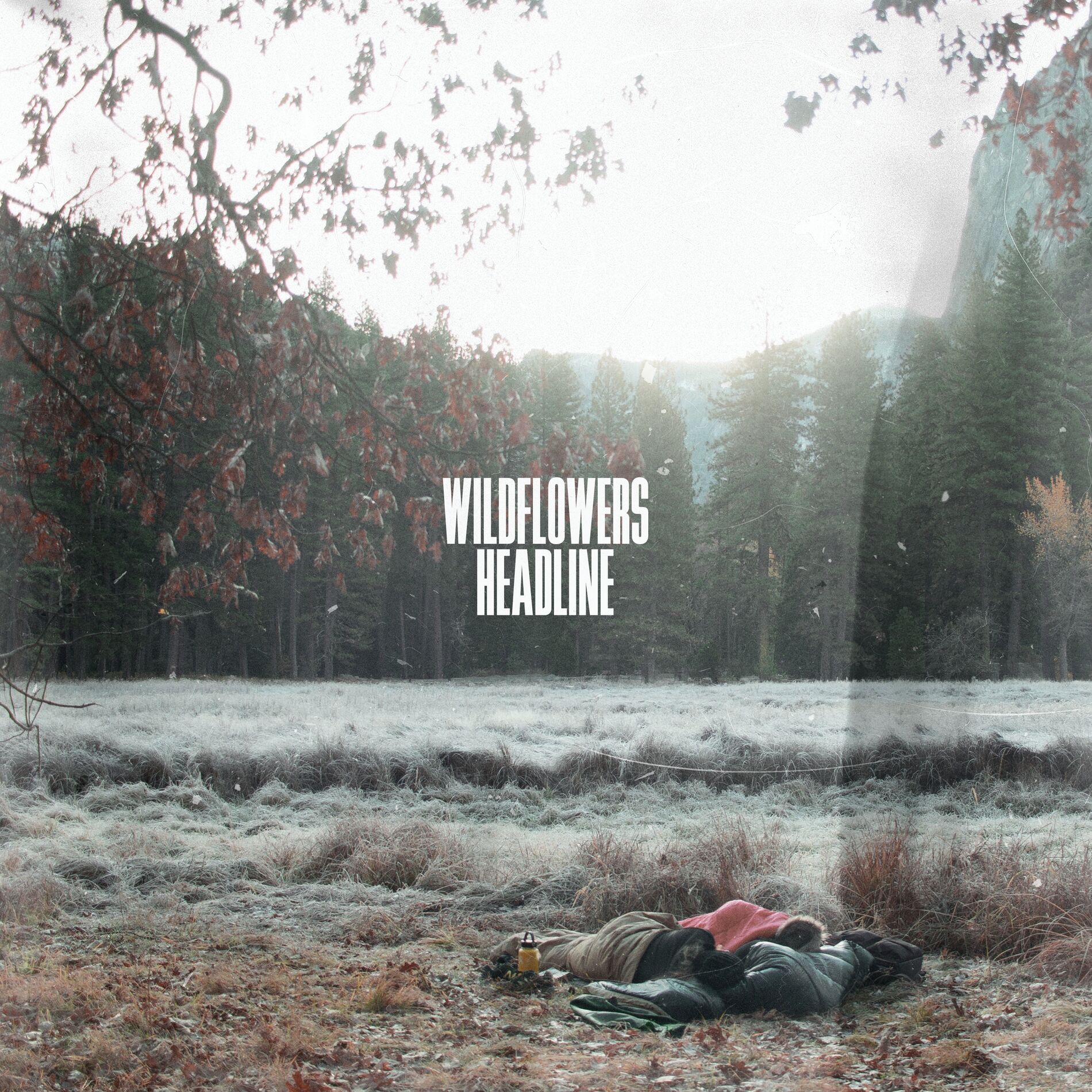 Album cover of All Those Things We Did Back Then
