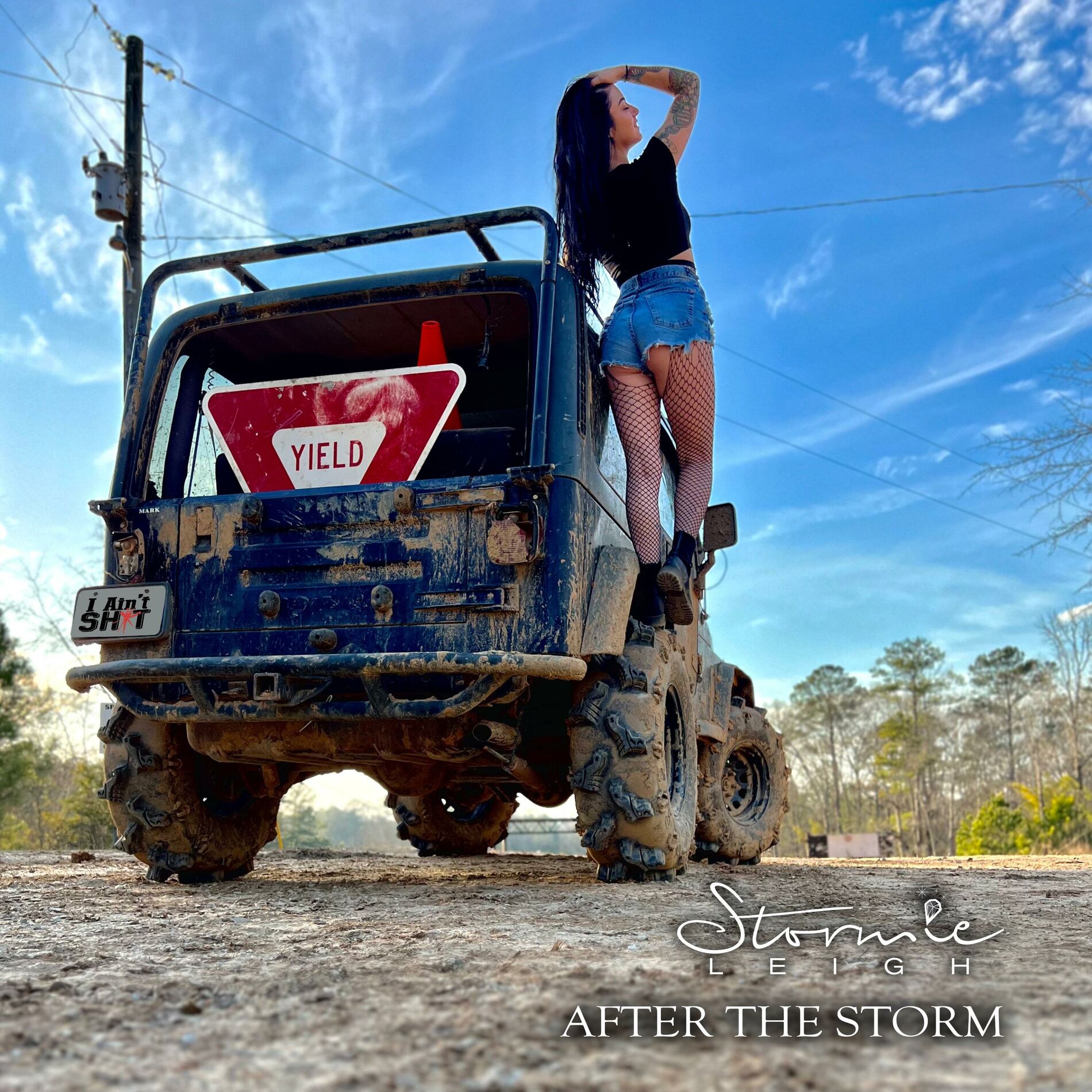 Album cover of After The Storm