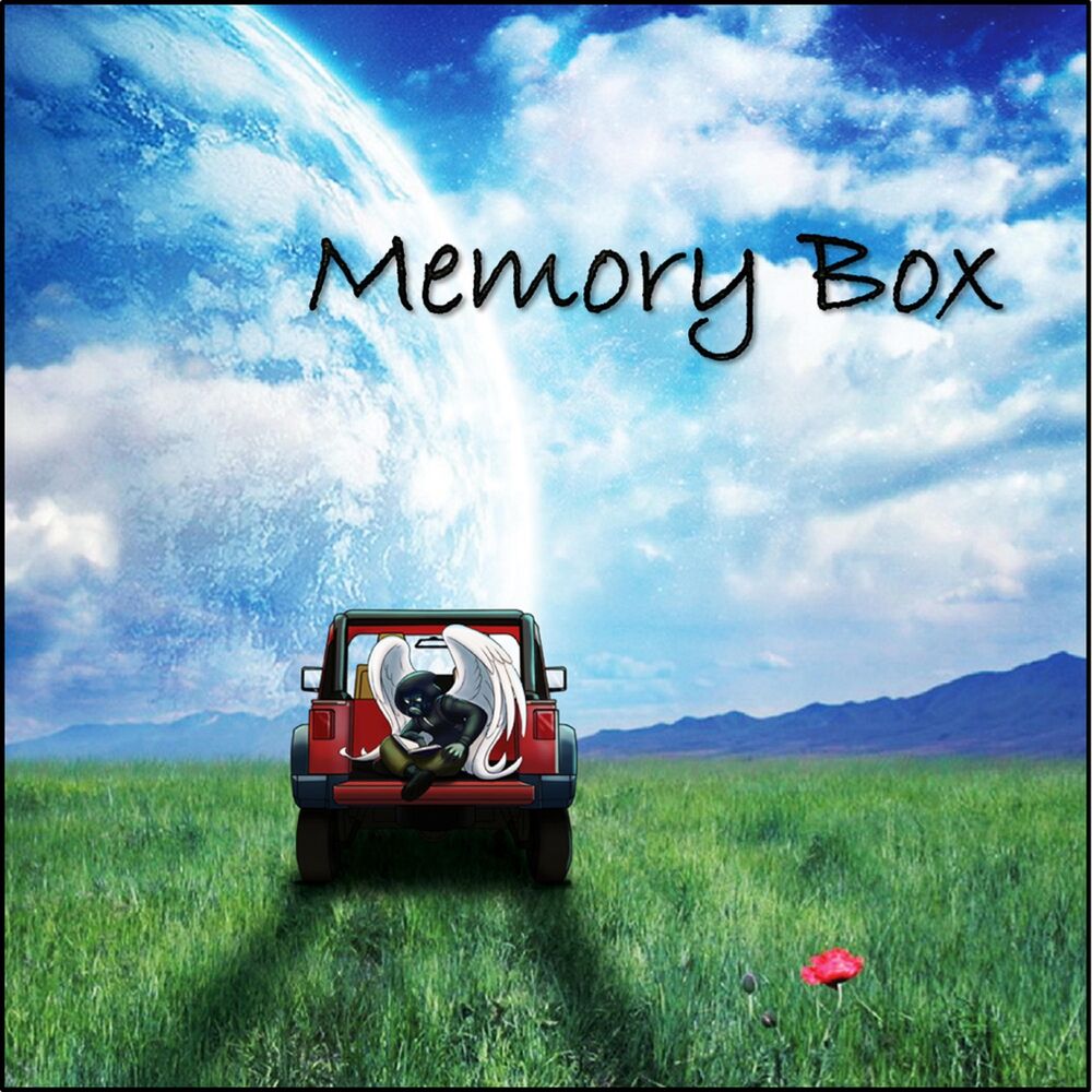 Picture of Memory Box