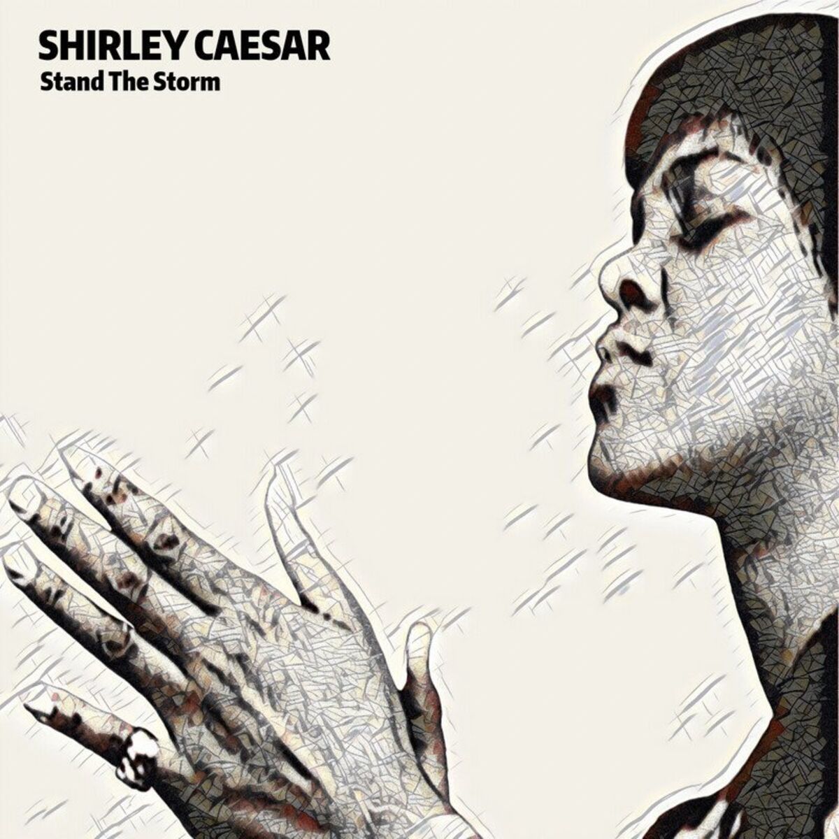 Album cover of Stand The Storm