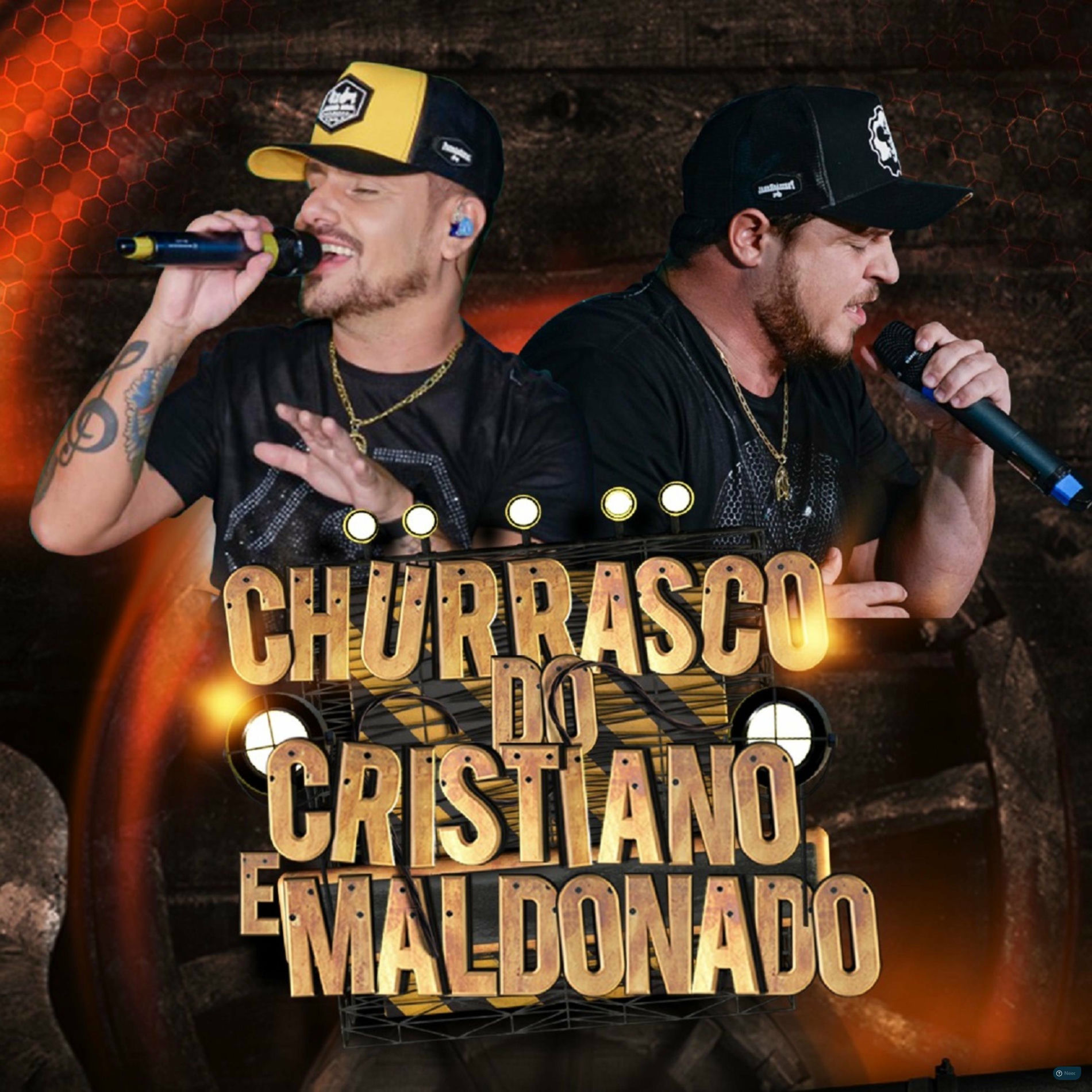 Album cover of A Dama do Não / Fruto Especial