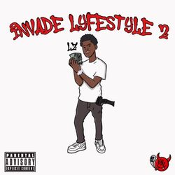 Cover of INVADELYFESTYLE2