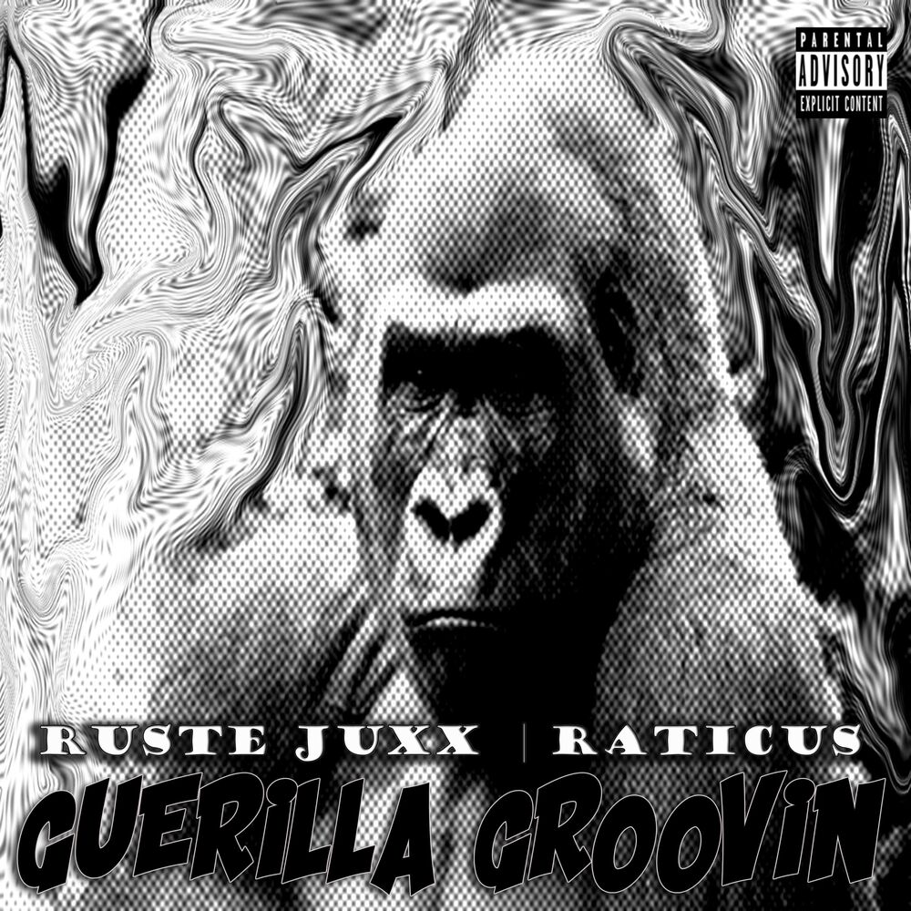 Picture of Guerilla Groovin'