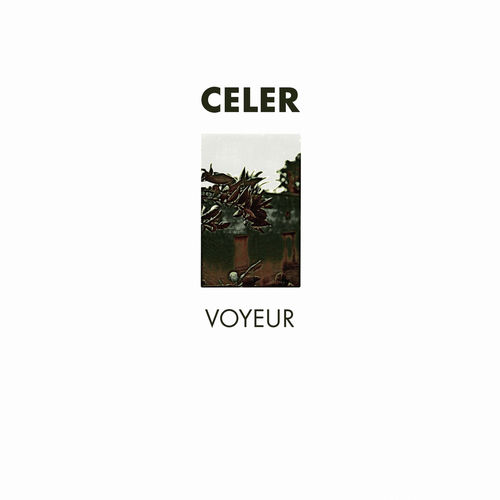Voyeur