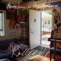 Cover of Rolled Up